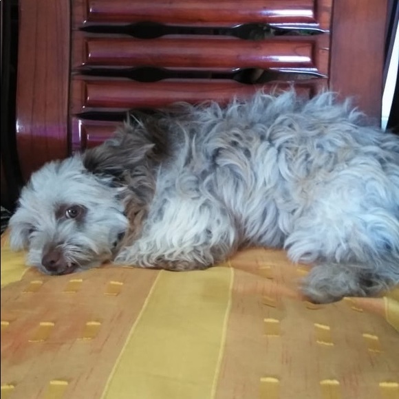 Meet your Posher, Leury - Picture 1 of 1